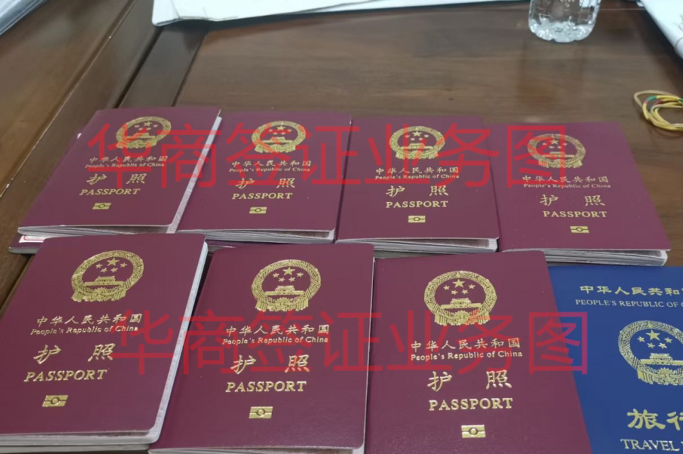 菲律宾9g办理新护照