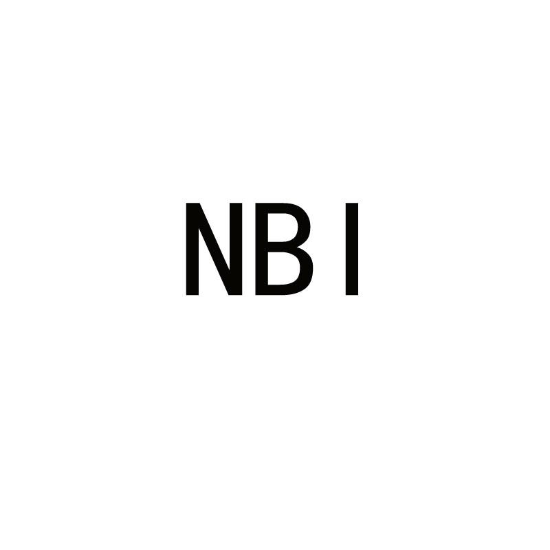 菲律宾国调局NBI
