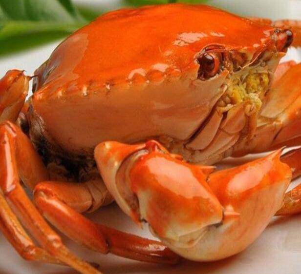 菲律宾特产—螃蟹.jpg