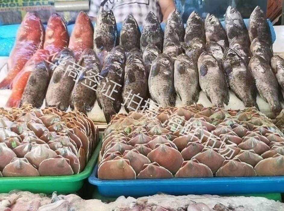 <a href=https://www.altrv.com/flbmnl/>马尼拉</a>海鲜市场卖海鱼.jpg