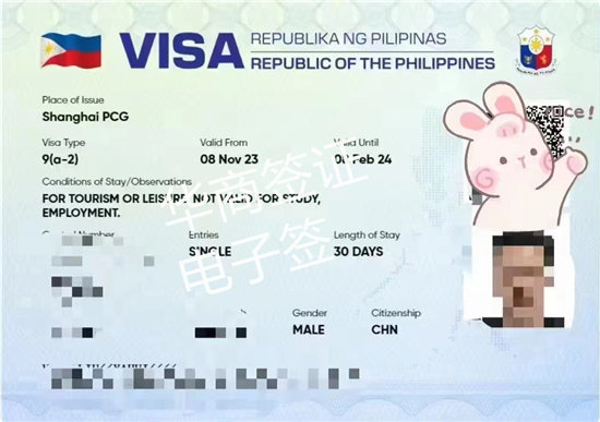 菲律宾入境电子签证流程（电子签证多久下来）